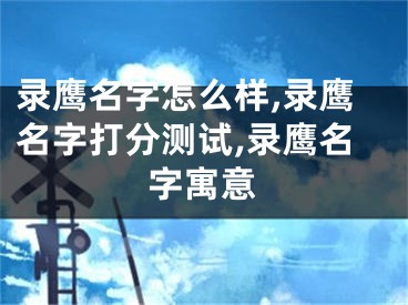 录鹰名字怎么样,录鹰名字打分测试,录鹰名字寓意