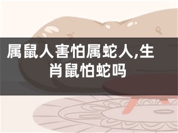属鼠人害怕属蛇人,生肖鼠怕蛇吗