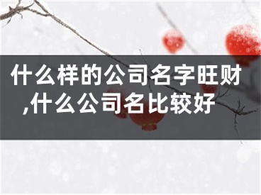 什么样的公司名字旺财,什么公司名比较好
