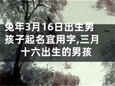 兔年3月16日出生男孩子起名宜用字,三月十六出生的男孩