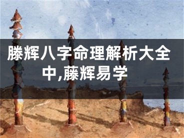 滕辉八字命理解析大全中,藤辉易学