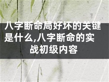 八字断命局好坏的关键是什么,八字断命的实战初级内容