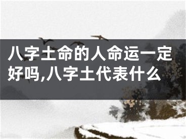 八字土命的人命运一定好吗,八字土代表什么