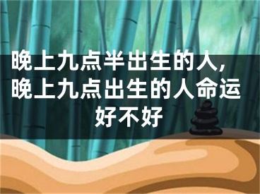 晚上九点半出生的人,晚上九点出生的人命运好不好
