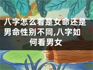 八字怎么看是女命还是男命性别不同,八字如何看男女