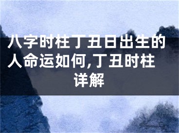 八字时柱丁丑日出生的人命运如何,丁丑时柱详解