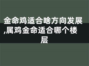 金命鸡适合啥方向发展,属鸡金命适合哪个楼层