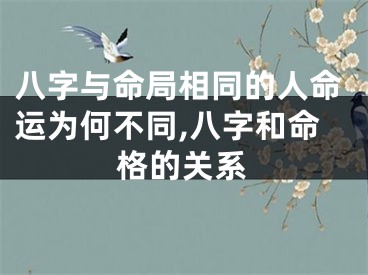 八字与命局相同的人命运为何不同,八字和命格的关系