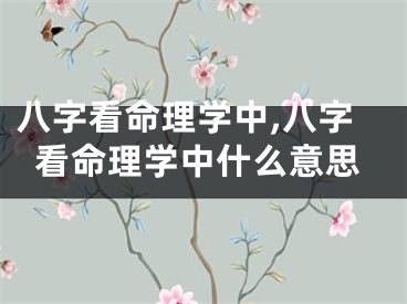 八字看命理学中,八字看命理学中什么意思