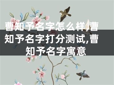 曹知予名字怎么样,曹知予名字打分测试,曹知予名字寓意