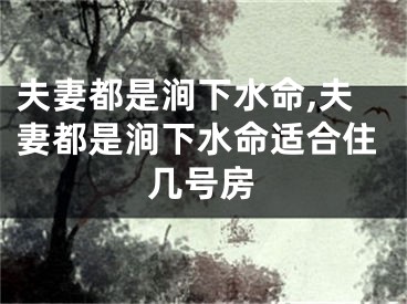 夫妻都是涧下水命,夫妻都是涧下水命适合住几号房