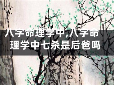 八字命理学中,八字命理学中七杀是后爸吗