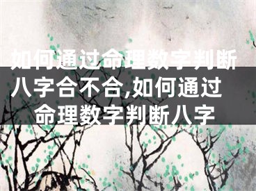 如何通过命理数字判断八字合不合,如何通过命理数字判断八字