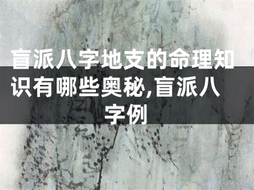 盲派八字地支的命理知识有哪些奥秘,盲派八字例