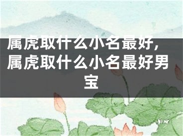 属虎取什么小名最好,属虎取什么小名最好男宝