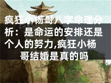 疯狂小杨哥八字命理分析：是命运的安排还是个人的努力,疯狂小杨哥结婚是真的吗