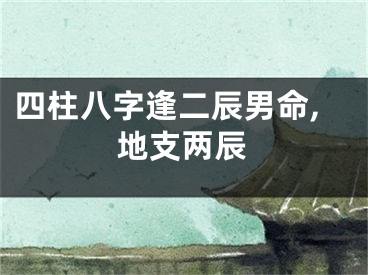 四柱八字逢二辰男命,地支两辰
