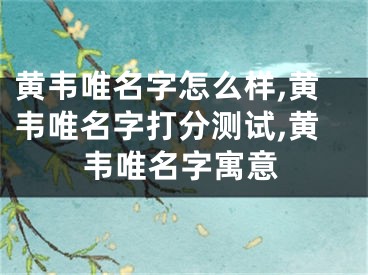 黄韦唯名字怎么样,黄韦唯名字打分测试,黄韦唯名字寓意