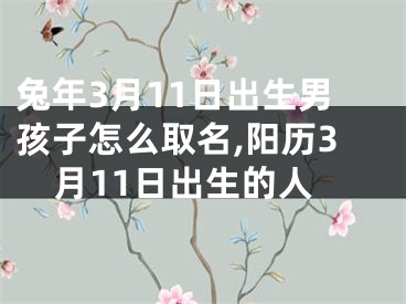 兔年3月11日出生男孩子怎么取名,阳历3月11日出生的人