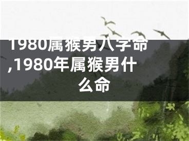 1980属猴男八字命,1980年属猴男什么命