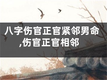 八字伤官正官紧邻男命,伤官正官相邻