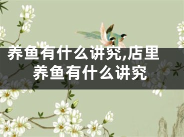 养鱼有什么讲究,店里养鱼有什么讲究