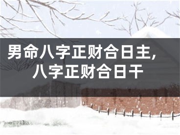 男命八字正财合日主,八字正财合日干