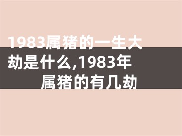 1983属猪的一生大劫是什么,1983年属猪的有几劫