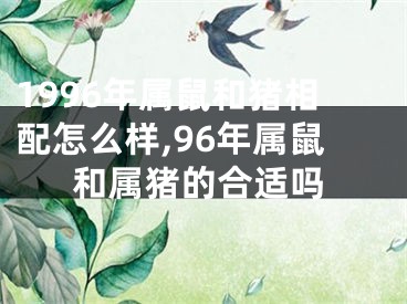 1996年属鼠和猪相配怎么样,96年属鼠和属猪的合适吗
