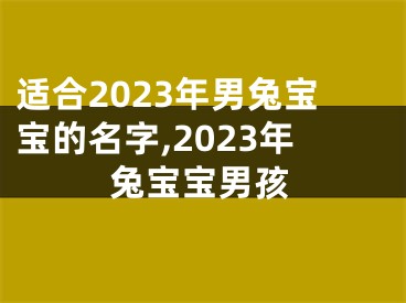 适合2023年男兔宝宝的名字,2023年兔宝宝男孩