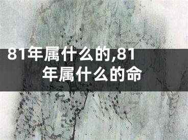 81年属什么的,81年属什么的命