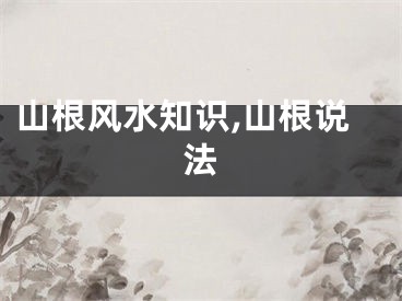 山根风水知识,山根说法