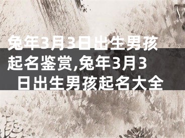 兔年3月3日出生男孩起名鉴赏,兔年3月3日出生男孩起名大全