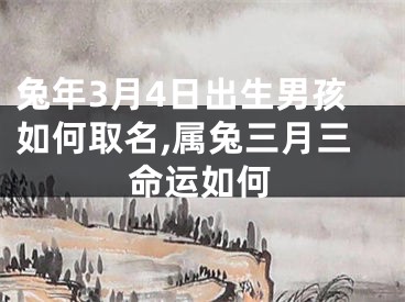 兔年3月4日出生男孩如何取名,属兔三月三命运如何