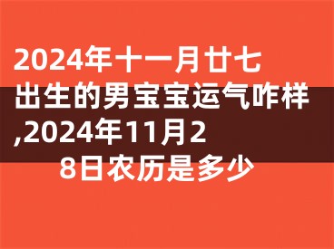 2024年十一月廿七出生的男宝宝运气咋样,2024年11月28日农历是多少