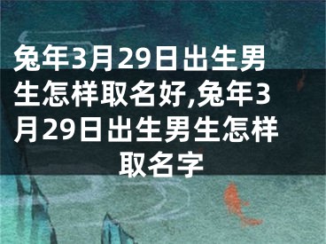 兔年3月29日出生男生怎样取名好,兔年3月29日出生男生怎样取名字
