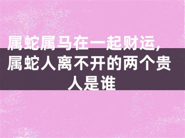 属蛇属马在一起财运,属蛇人离不开的两个贵人是谁