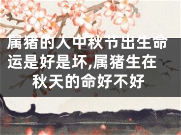 属猪的人中秋节出生命运是好是坏,属猪生在秋天的命好不好