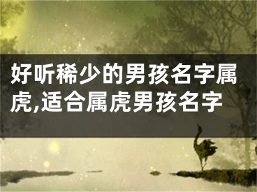 好听稀少的男孩名字属虎,适合属虎男孩名字
