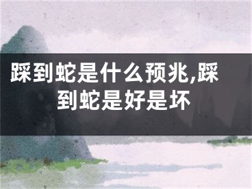 踩到蛇是什么预兆,踩到蛇是好是坏
