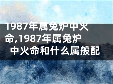 1987年属兔炉中火命,1987年属兔炉中火命和什么属般配