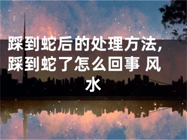 踩到蛇后的处理方法,踩到蛇了怎么回事 风水