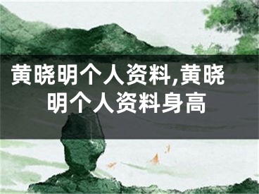 黄晓明个人资料,黄晓明个人资料身高