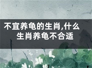 不宜养龟的生肖,什么生肖养龟不合适