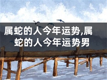 属蛇的人今年运势,属蛇的人今年运势男