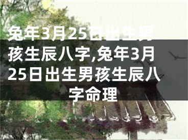 兔年3月25日出生男孩生辰八字,兔年3月25日出生男孩生辰八字命理