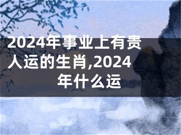 2024年事业上有贵人运的生肖,2024年什么运