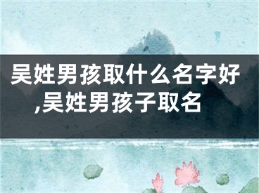 吴姓男孩取什么名字好,吴姓男孩子取名