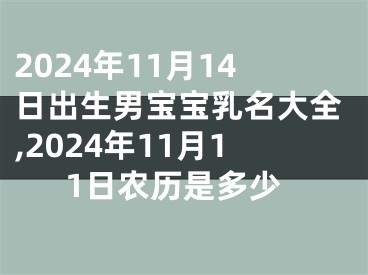 2024年11月14日出生男宝宝乳名大全,2024年11月11日农历是多少