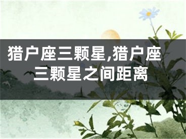 猎户座三颗星,猎户座三颗星之间距离